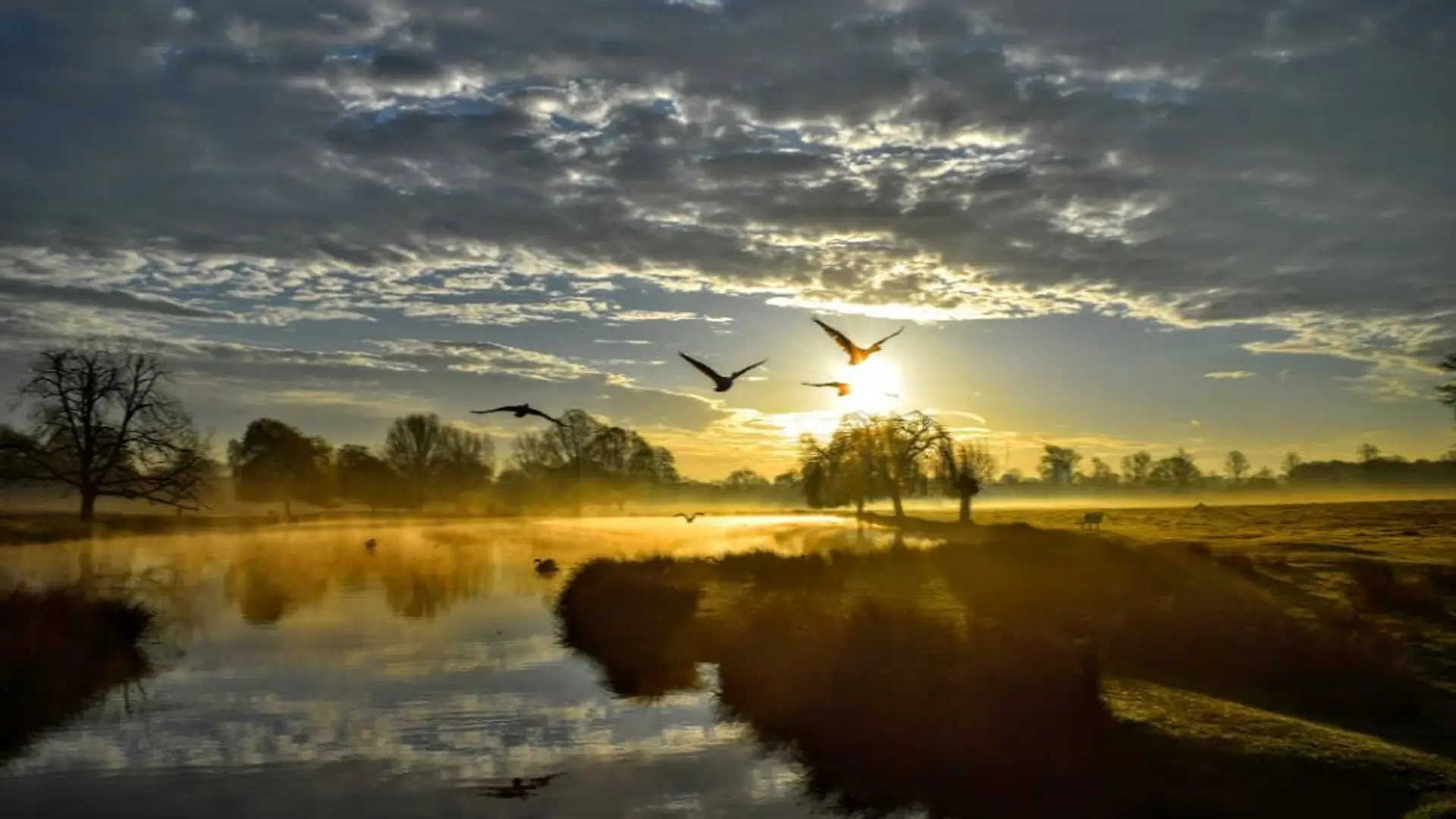 Zdjęcie Polaka na okładce kalendarza BBC. Pokonało ponad 34 tys. innych fotografii