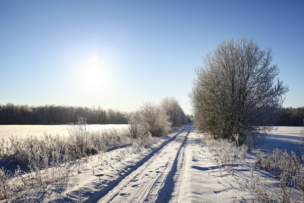 PROGNOZA POGODY na weekend: Śnieg i wiatr, w niedzielę słońce