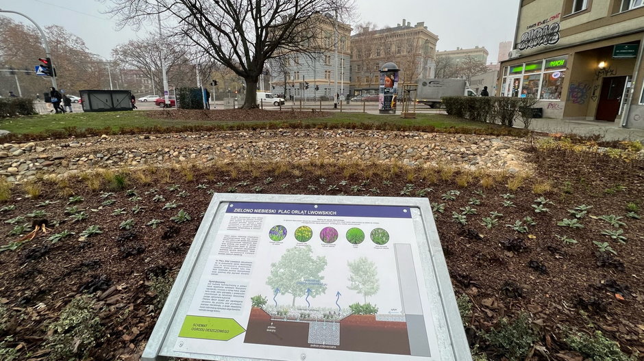 Na placu Orląt Lwowskich powstały ogrody deszczowe. Nasadzone zostały drzewa i krzewy