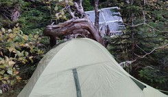 Pracownik branży IT od miesiąca ukrywa się w lesie. 'Zmobilizowani mają gorzej'