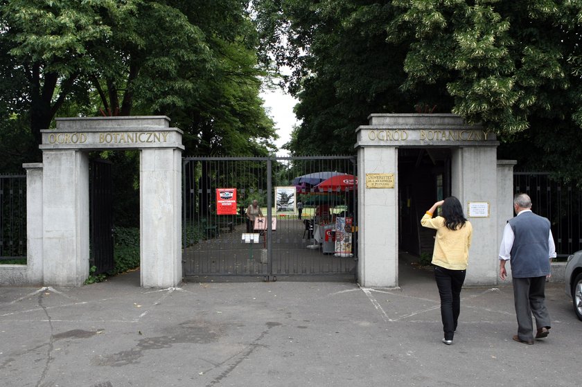 Atrakcje na 90-lecie poznańskiego ogrodu botanicznego