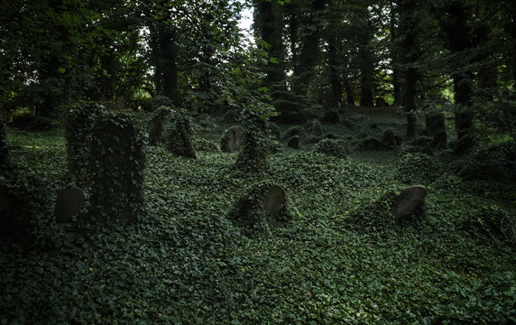 Cmentarz Żydowski w Cieszynie