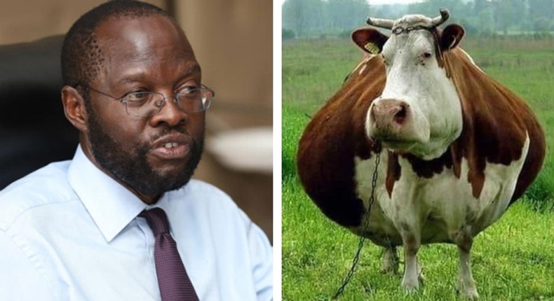 Here are all the jokes on Kisumu county's Sh3.7 million cow