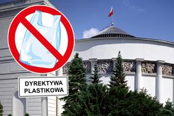 Sejm plastik