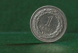 Ekspert: Złoty może dalej się osłabiać