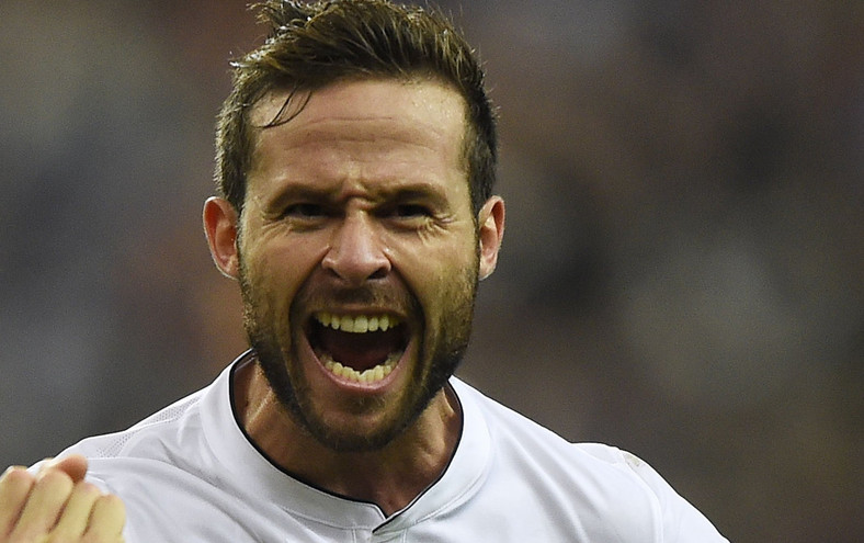 Yohan Cabaye, fot. AFP