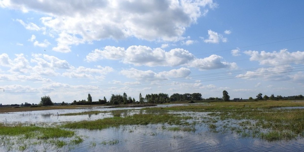 Kanał Strumień wylał drugi raz w ciągu miesiąca.