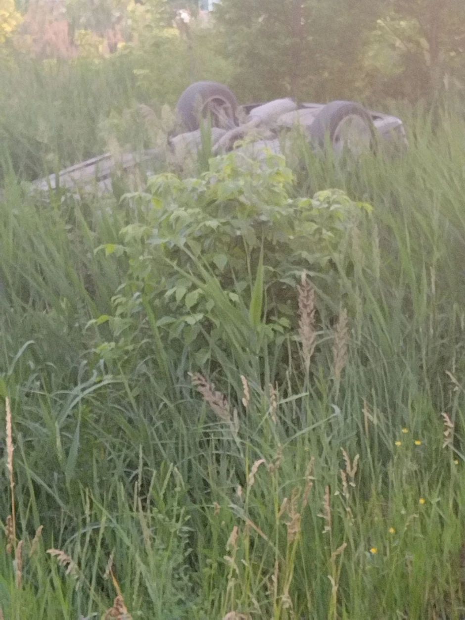 Vozilo sletelo sa puta u Staroj Pazovi 