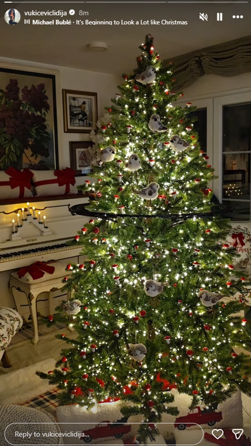 Lidija Vukićević pokazala novogodišnju bajku u svojoj kući