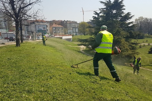 (FOTO) JKP "Zelenilo Beograd" počelo košenje javnih zelenih površina u gradu: Angažovano oko 160 radnika