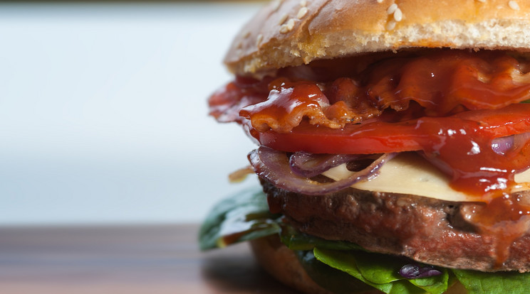 Ingyen burgerrel kompenzálja a kirúgott tanárokat egy étterem / Illusztráció: Pixabay
