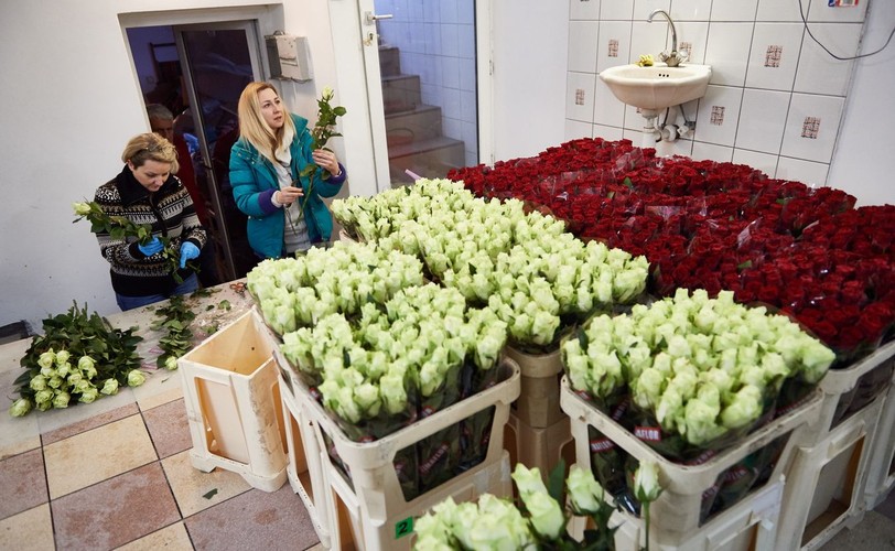 Róże wsparcia dla Lecha Wałęsy