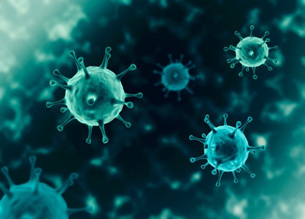 Pandemia koronawirusa nie wygasa. Odnotowano najwyższy dzienny bilans zakażeń