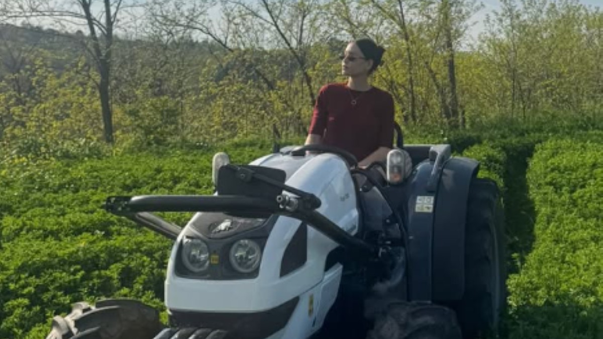 Mirka Vasiljević, objava