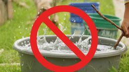 zakaz używania deszczówki do podlewania trawników i roślin. nie będzie można myć nią tarasu ani auta. weszły w życie nowe ograniczenia