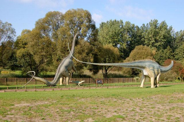 Galeria Polska - Rogowo - Park Dinozaurów, obrazek 6