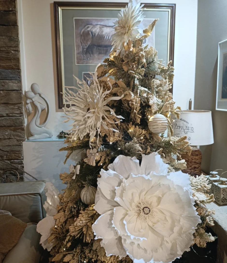  Miroslava Krstić, dom