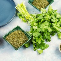 Mire jó a koriander, és mire nem? Ilyen előnyöket várhat, ha gyakrabban fogyasztja