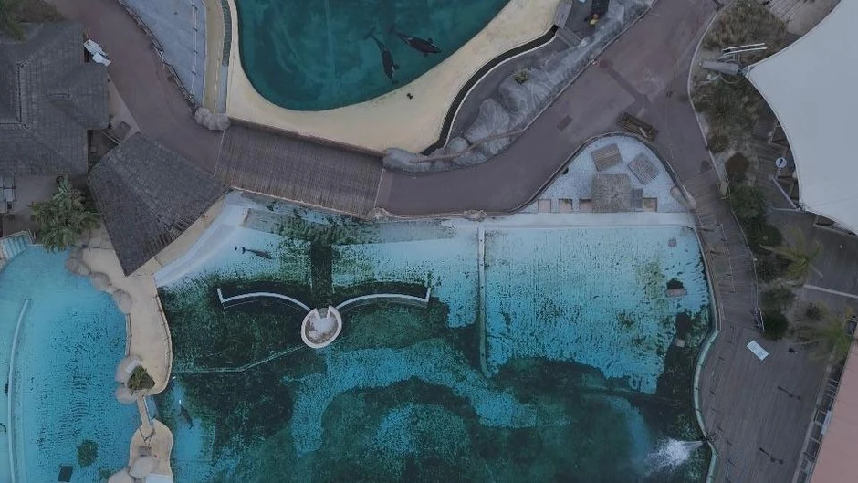 Bazenima ističe vek trajanja, navode predstavnici parka Marinlenda | Foto: Seph Lawless