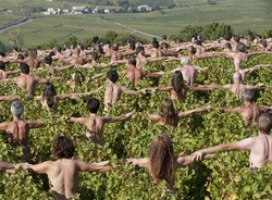 Rozbierzesz się... dla puszczy?