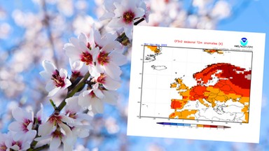 "Wiosna przyjdzie dużo wcześniej". A jaka jest prawda? Mamy pierwsze prognozy