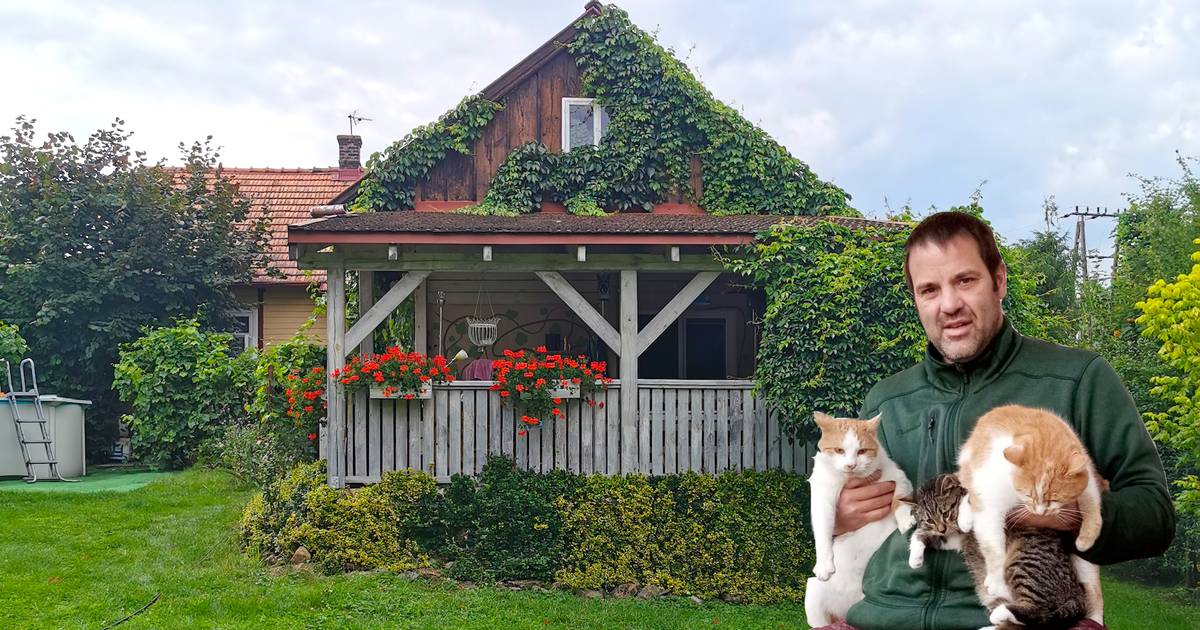 Polak remontuje willę z drewna. "Była tańsza niż 60 m kw. w Krakowie"