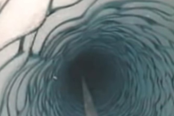(VIDEO) Spustili su kameru 180 metara ispod Antarktika i ZANEMELI zbog prizora na monitoru