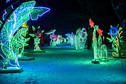 Iluminacje Multidekor Park Miliona Świateł Zabrze