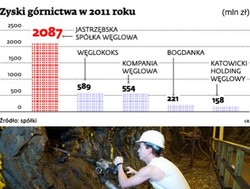 Rząd zrzeka się kopalni, chce sprzedać