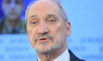 Macierewicz: brzoza nie spowodowała katastrofy!