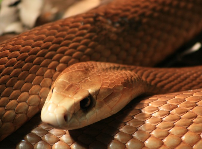 Co turyści zostawiają w hotelach?