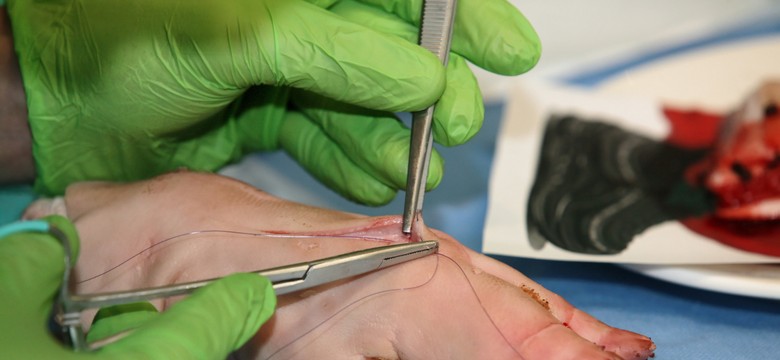 Mistrzostwa Polski w szyciu chirurgicznym. Poznaliśmy najlepszych