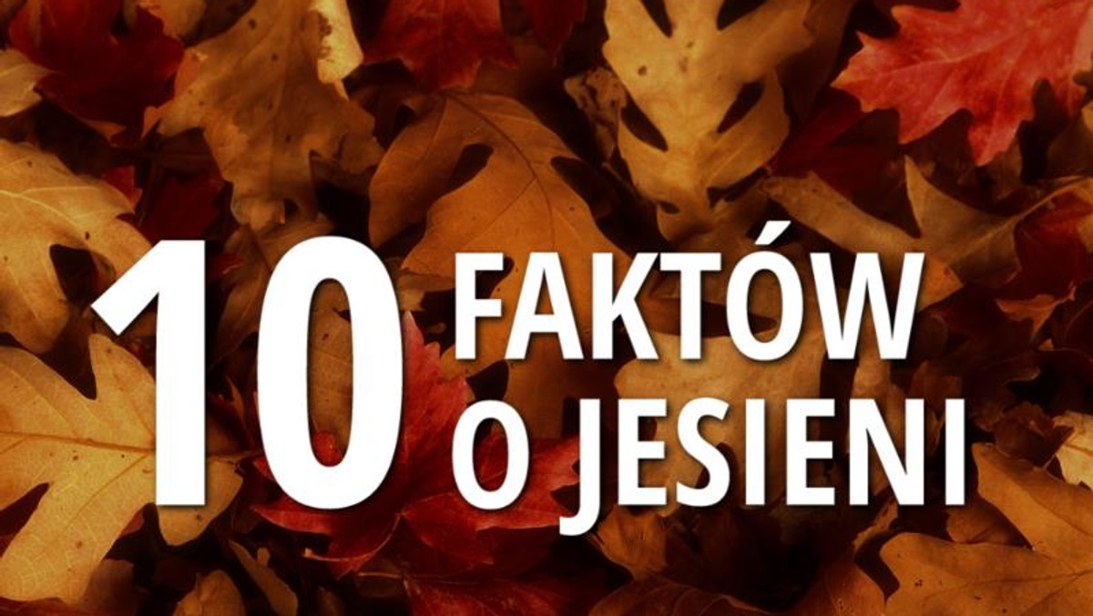 10 faktów o jesieni