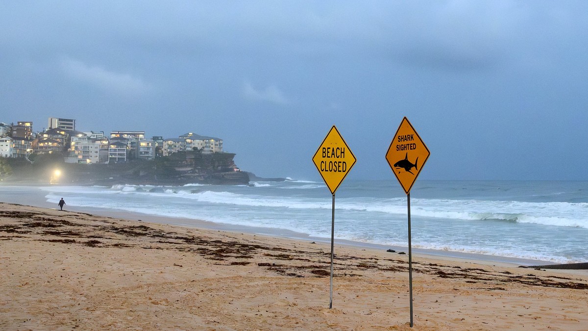 Zatvorena plaža u Australiji zbog napada ajkule