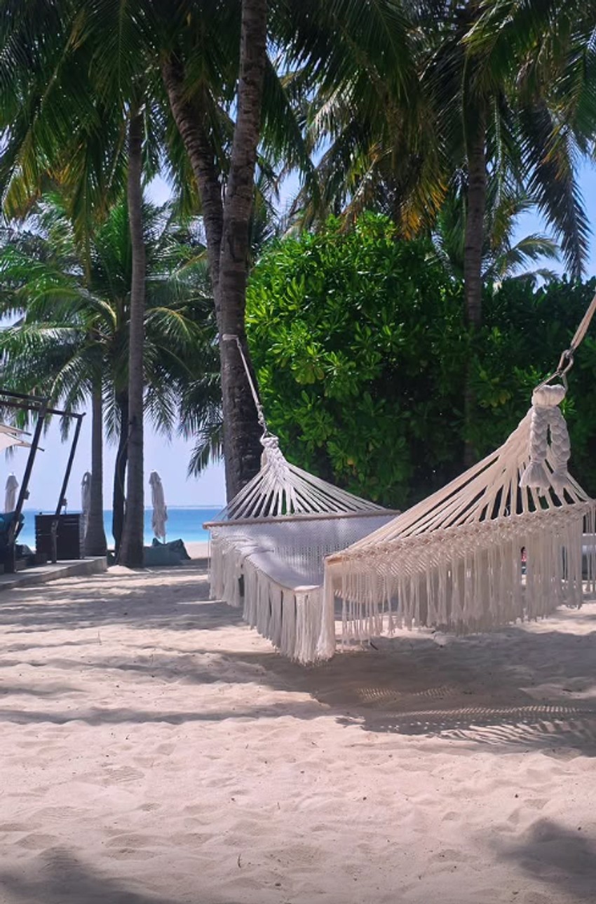 Saša Kovačević, objava