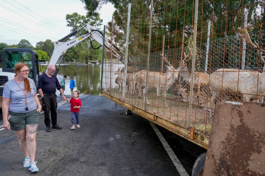 Poplave u Australiji, Sidnej