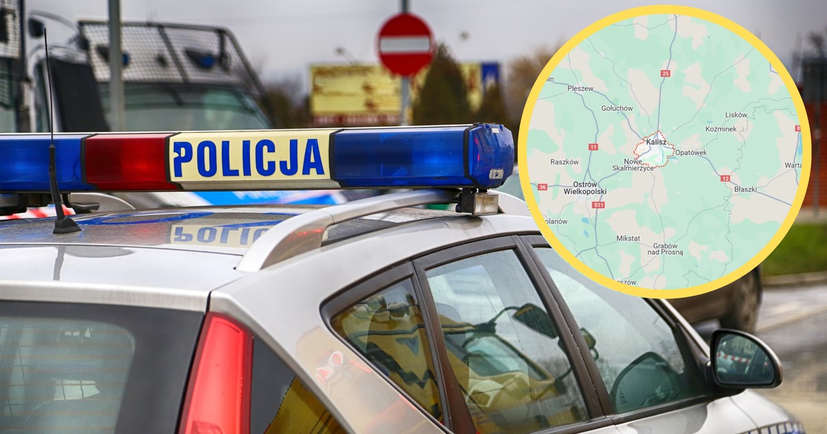 Zabił znajomą, a potem wracał karmić jej psa. Policji wyjaśnił, dlaczego