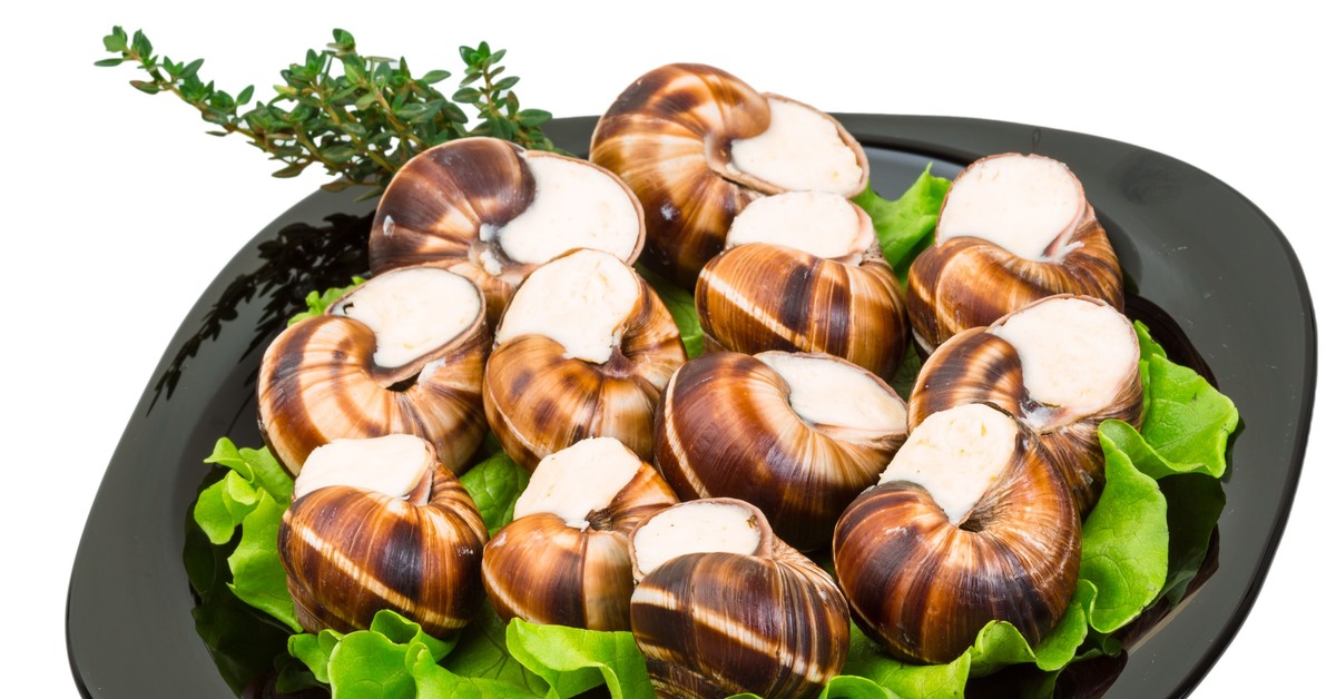 Nieoczywista gospodarcza cena ślimaka winniczka [OPINIA]