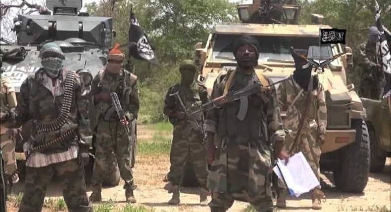 Boko Haram fighters [Daily Trust]