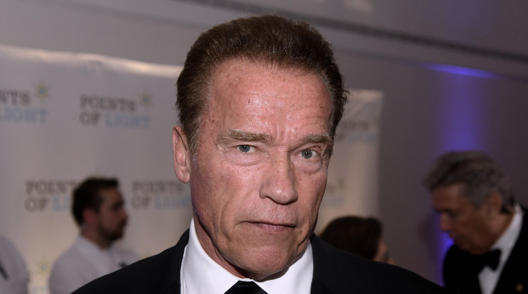 Schwarzenegger szerint Kalifornia példája is mutatta: igenis lehet egyszerre védeni a környezetet és a gazdaság növekedését is / Fotó: Northfoto