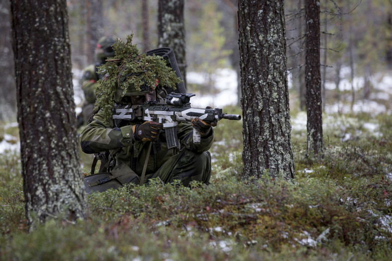 Piechota (na zdjęciu żołnierz NATO podczas ćwiczeń)