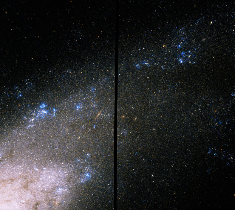 C36 - NGC 4559