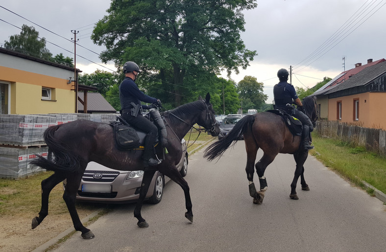 Borowce - w poszukiwaniach biorą udział funkcjonariusze policji konnej