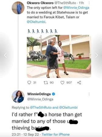 Winnie Odinga announces her retirement after nasty outburst on Twitter