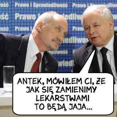 mem / Nie lubię PiSu