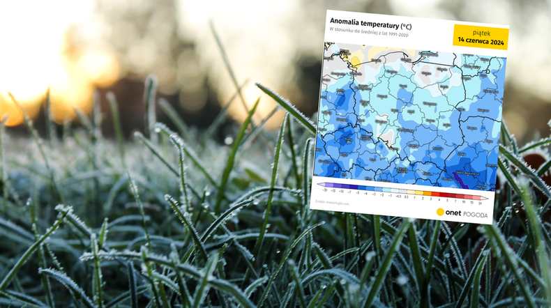 W nocy pojawił się mróz, co w czerwcu jest niezwykle rzadkim zjawiskiem. (screen: meteologix.com)