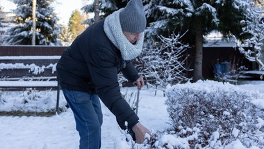 działkowcy protestują przeciw "stopniowej likwidacji rod". apelują do rządu