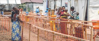 Małpia ospa uciekła  za granicę. Czy stanowi zagrożenie w Europie?