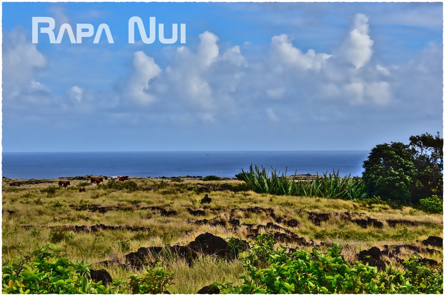 Wyspa Rapa Nui