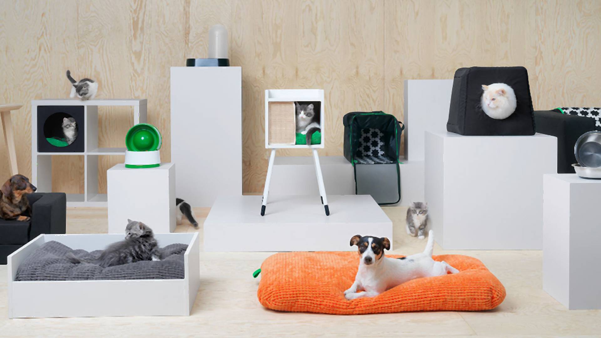 Ikea zatroszczy się również o domowe zwierzęta - powstała kolekcja gadżetów dla psów i kotów